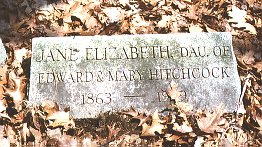 Photo of grave of Janet Hitchcock courtesy of Joellen Hawkins